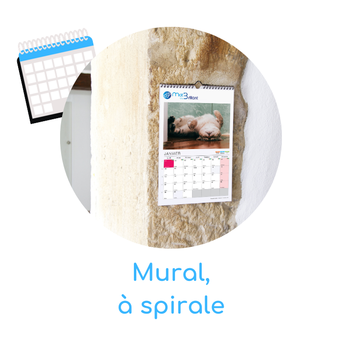 Calendrier mural, à spirale